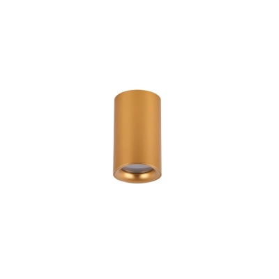 lafabryka.pl Plafon Eiger IP54 (gold) AZ5239 AZZARDO